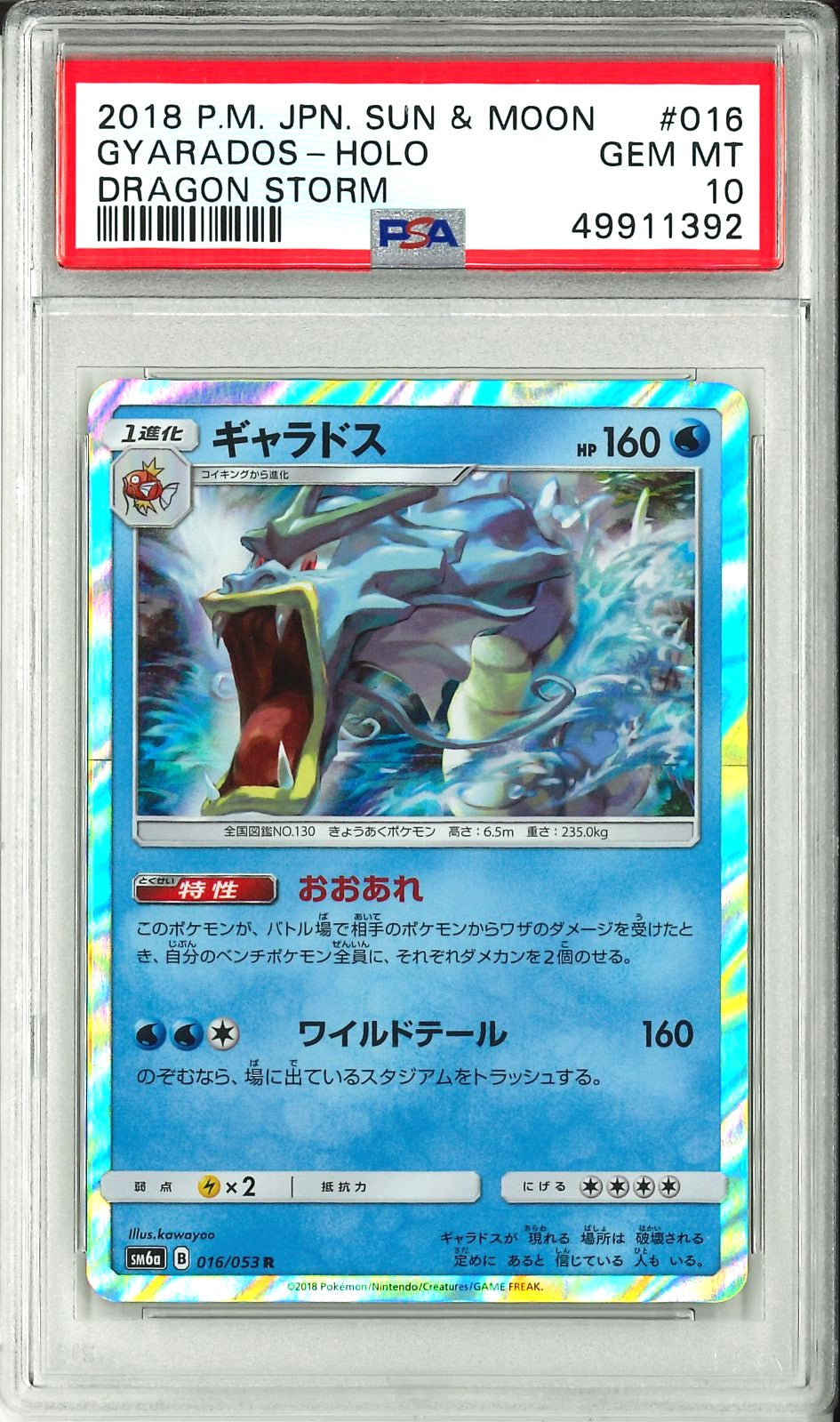 Dragon Storm - Gyarados