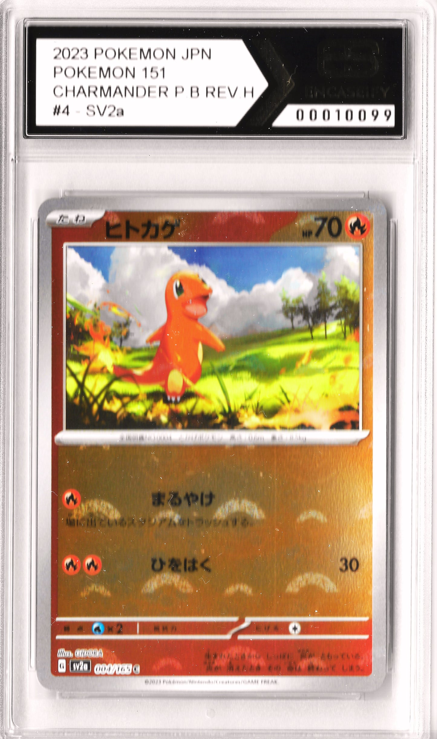 Charmander Pokeball Reverse Holo #4 Pokemon 151 SV2a Encaseify
