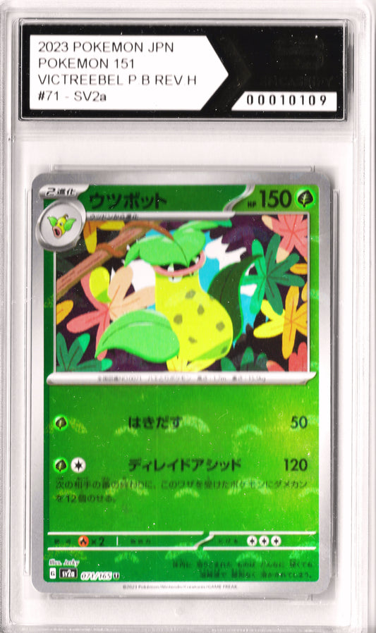 Victreebel Pokeball Reverse Holo #71 Pokemon 151 SV2a Encaseify