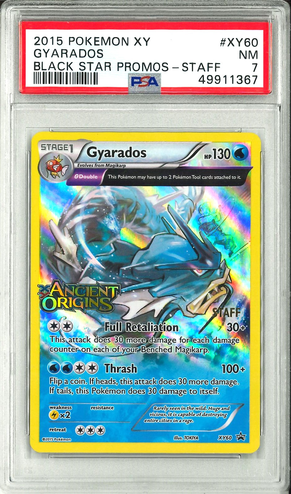 Black star - Gyarados Promo Staff
